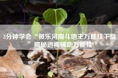 3分钟学会“微乐河南斗地主万能挂下载”揭秘透视辅助万能挂