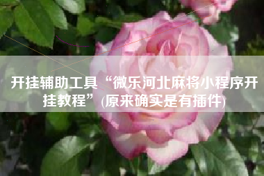 开挂辅助工具“微乐河北麻将小程序开挂教程	”(原来确实是有插件)