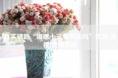 真实辅助“嘟嘟十三张有挂吗”作弊(透视)透视辅助