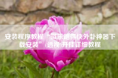 安装程序教程“徽乐跑得快外卦神器下载安装	”(透视)开挂详细教程