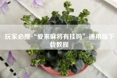 玩家必搜“爱来麻将有挂吗	”通用版下载教程
