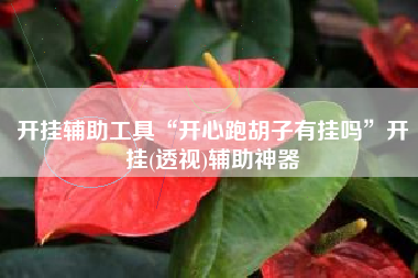 开挂辅助工具“开心跑胡子有挂吗”开挂(透视)辅助神器