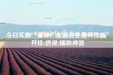 今日实测“雀神广东麻将免费开挂器”开挂(透视)辅助神器