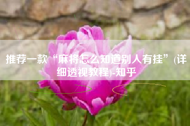 推荐一款“麻将怎么知道别人有挂”(详细透视教程)-知乎