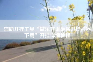 辅助开挂工具“微乐甘肃麻将开挂神器下载”开挂详细教程