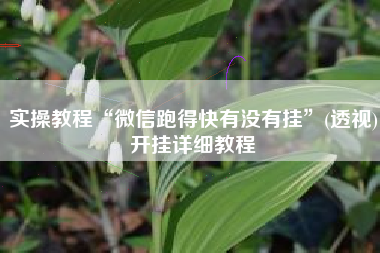 实操教程“微信跑得快有没有挂”(透视)开挂详细教程
