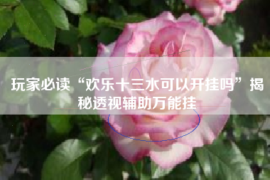 玩家必读“欢乐十三水可以开挂吗”揭秘透视辅助万能挂