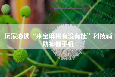 玩家必读“来宝麻将有没有挂	”科技辅助神器手机