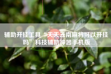 辅助开挂工具“天天云南麻将可以开挂吗”科技辅助神器手机版