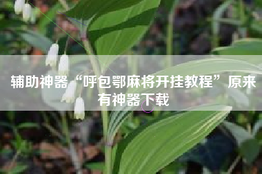 辅助神器“呼包鄂麻将开挂教程”原来有神器下载
