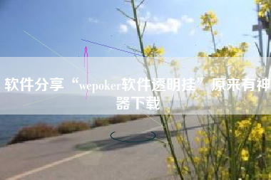 软件分享“wepoker软件透明挂”原来有神器下载