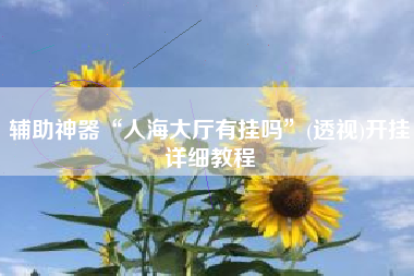 辅助神器“人海大厅有挂吗	”(透视)开挂详细教程