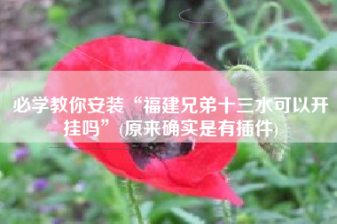 必学教你安装“福建兄弟十三水可以开挂吗”(原来确实是有插件)