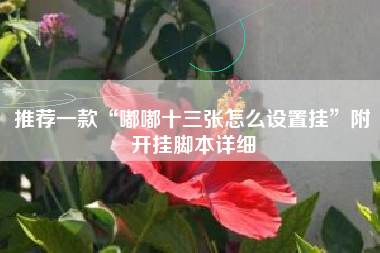 推荐一款“嘟嘟十三张怎么设置挂”附开挂脚本详细