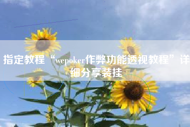 指定教程“wepoker作弊功能透视教程”详细分享装挂