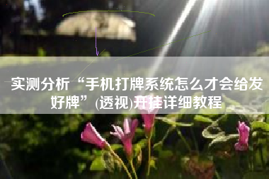 实测分析“手机打牌系统怎么才会给发好牌	”(透视)开挂详细教程