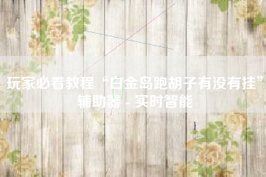 玩家必看教程“白金岛跑胡子有没有挂	”辅助器 - 实时智能
