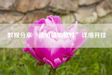 教程分享“德州辅助软件”详细开挂