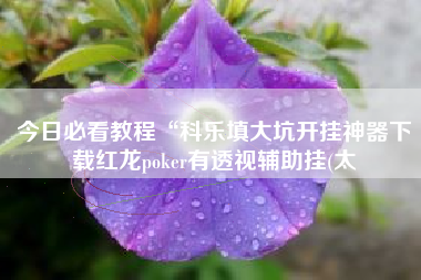 今日必看教程“科乐填大坑开挂神器下载红龙poker有透视辅助挂(太
