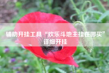 辅助开挂工具“欢乐斗地主挂在哪买	”详细开挂