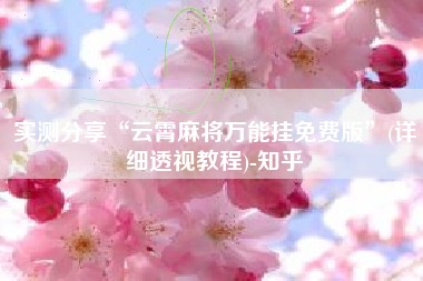 实测分享“云霄麻将万能挂免费版”(详细透视教程)-知乎