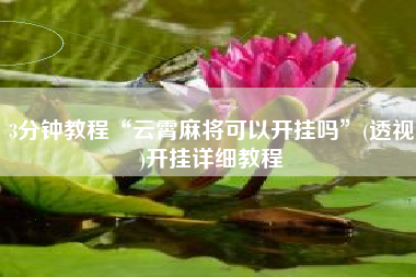 3分钟教程“云霄麻将可以开挂吗”(透视)开挂详细教程