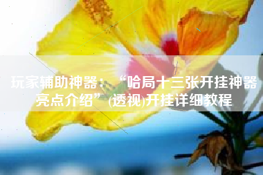 玩家辅助神器：“哈局十三张开挂神器亮点介绍”(透视)开挂详细教程