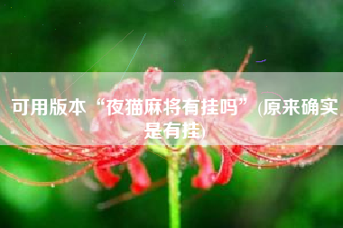 可用版本“夜猫麻将有挂吗”(原来确实是有挂)