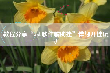 教程分享“wpk软件辅助挂	”详细开挂玩法