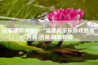 玩家辅助神器：“福建闽乐乐游戏透视”开挂(透视)辅助教程