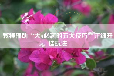 教程辅助“大A必赢的五大技巧”详细开挂玩法