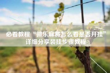 必看教程“微乐麻将怎么看是否开挂	”详细分享装挂步骤教程