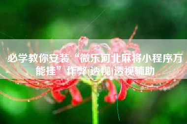 必学教你安装“微乐河北麻将小程序万能挂”作弊(透视)透视辅助