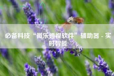 必备科技“微乐透视软件”辅助器 - 实时智能
