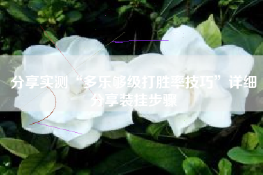 分享实测“多乐够级打胜率技巧”详细分享装挂步骤