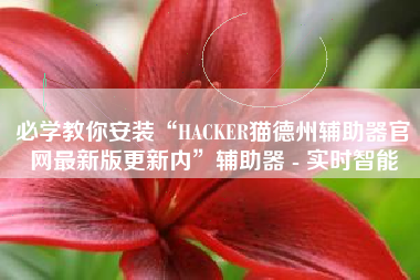 必学教你安装“HACKER猫德州辅助器官网最新版更新内”辅助器 - 实时智能