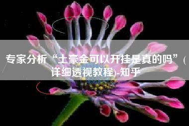 专家分析“土豪金可以开挂是真的吗”(详细透视教程)-知乎