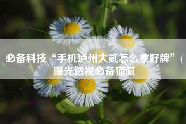 必备科技“手机泸州大贰怎么拿好牌”(曝光透视必备猫腻