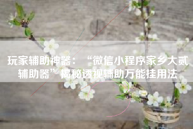 玩家辅助神器：“微信小程序家乡大贰辅助器”揭秘透视辅助万能挂用法