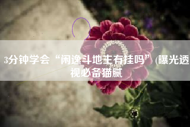 3分钟学会“闲逸斗地主有挂吗	”(曝光透视必备猫腻