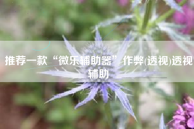 推荐一款“微乐辅助器	”作弊(透视)透视辅助