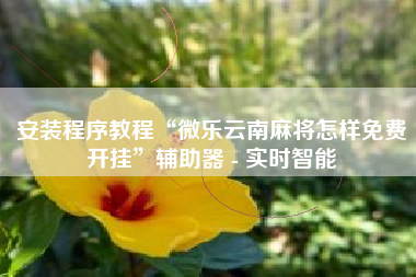 安装程序教程“微乐云南麻将怎样免费开挂”辅助器 - 实时智能