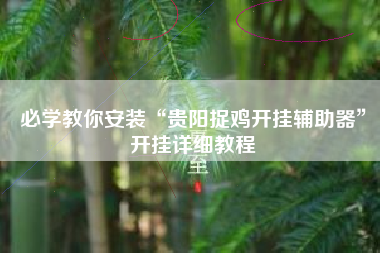 必学教你安装“贵阳捉鸡开挂辅助器	”开挂详细教程