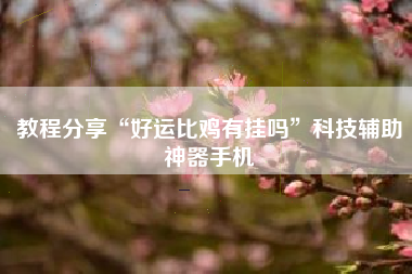 教程分享“好运比鸡有挂吗”科技辅助神器手机