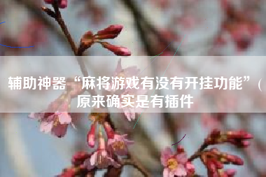 辅助神器“麻将游戏有没有开挂功能”(原来确实是有插件