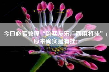 今日必看教程“购买友乐广西麻将挂	”(原来确实是有挂)