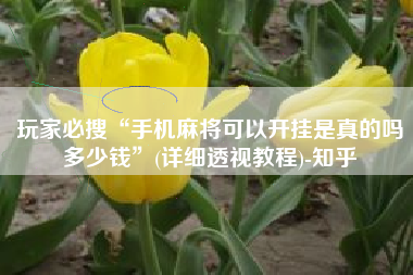 玩家必搜“手机麻将可以开挂是真的吗多少钱	”(详细透视教程)-知乎