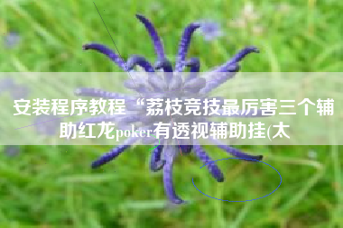 安装程序教程“荔枝竞技最厉害三个辅助红龙poker有透视辅助挂(太