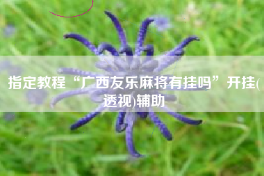 指定教程“广西友乐麻将有挂吗”开挂(透视)辅助