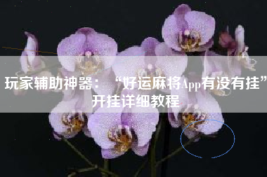 玩家辅助神器：“好运麻将App有没有挂”开挂详细教程